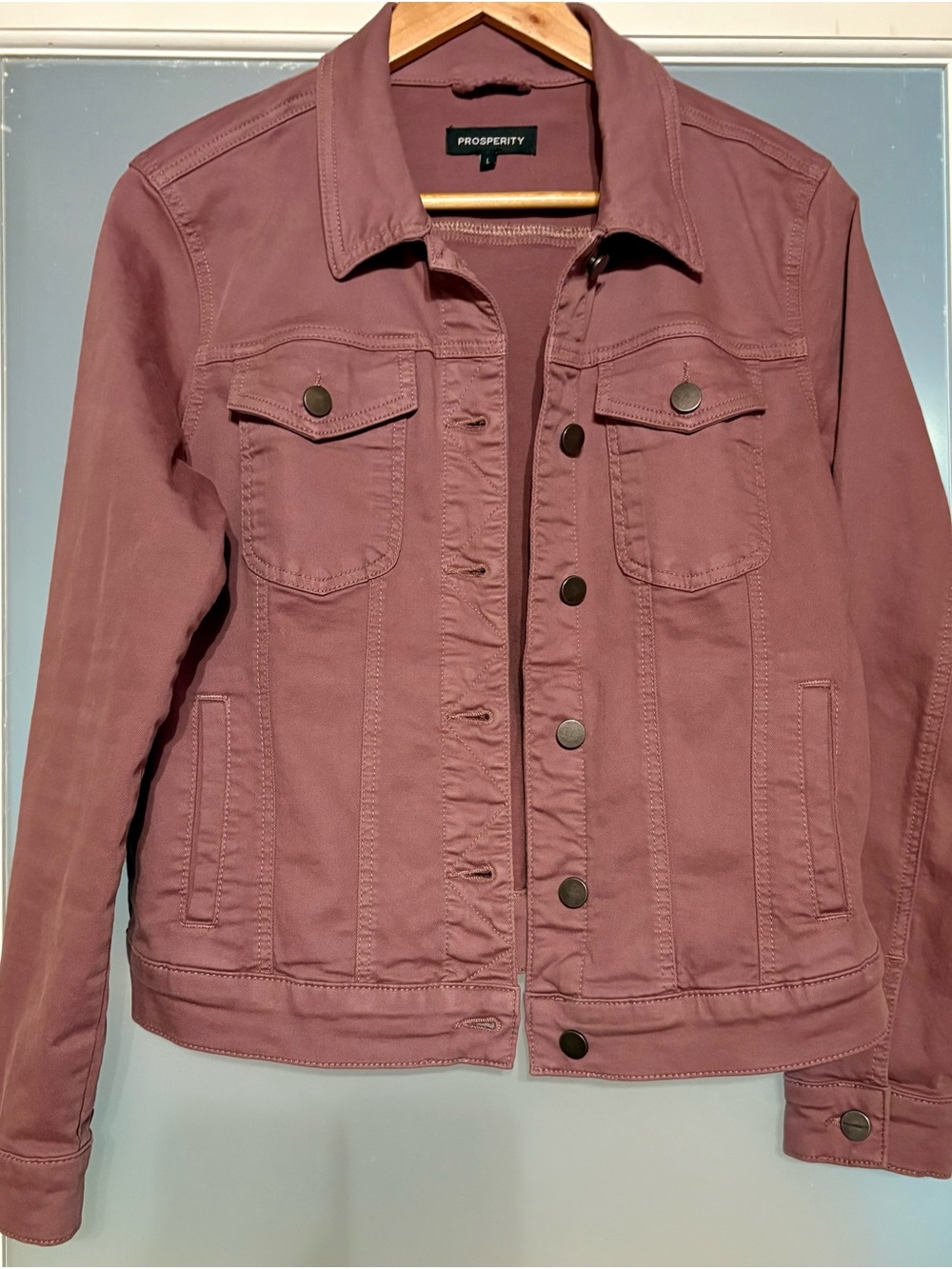 EUC Prosperity Mauve Denim Jacket